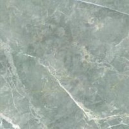 Gạch Trường Thịnh MARMI PLUS BJ88063LEV-R